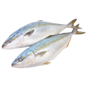 Лакедра