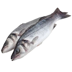 Сибас